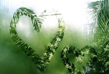 包含倔强风云！尼斯主场一场胜利，夺取胜利的词条